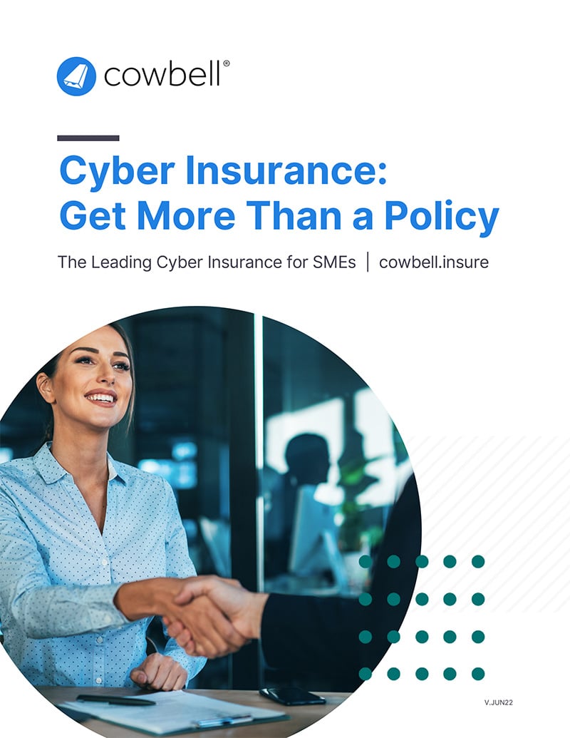 Cyber Insurance – Get More Than A Policy