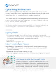 Cyber Program Solutions