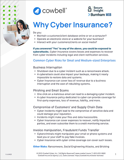 Why Cyber Insurance
