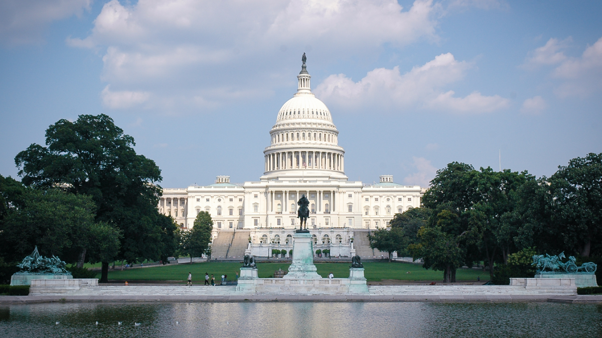 Cowbell Goes to Congress