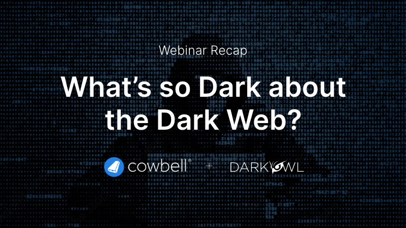 What’s so Dark about the Dark web?