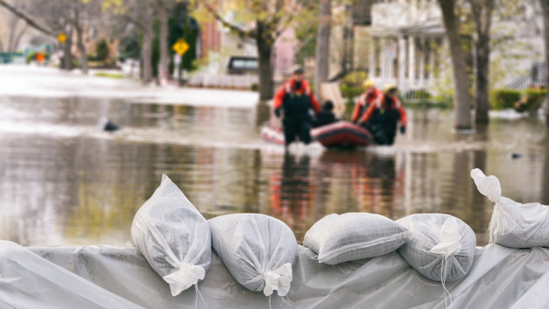 Staying Vigilant Amidst the Chaos of Natural Disaster