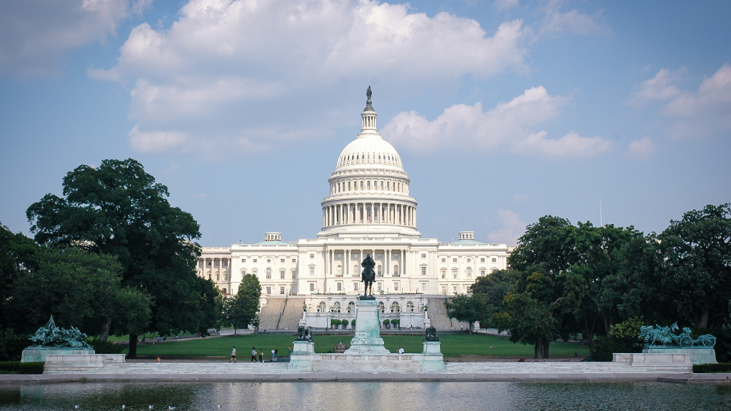Cowbell Goes to Congress