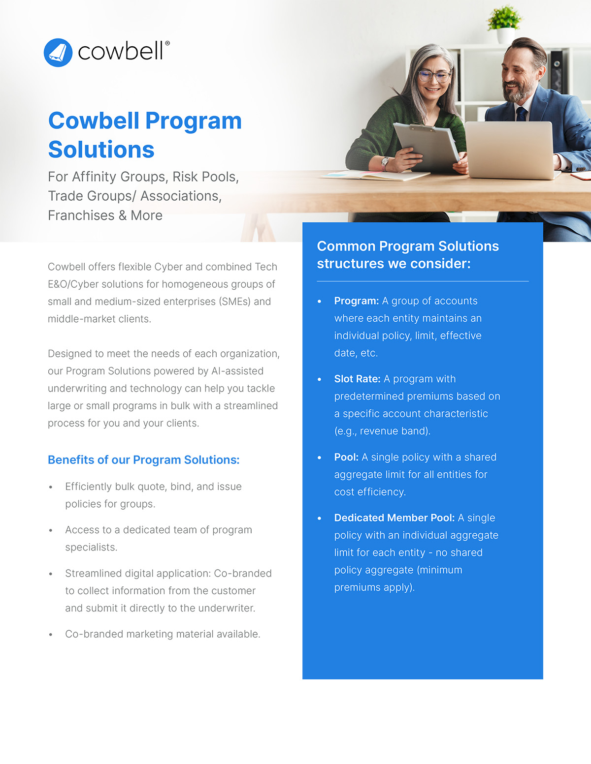 Cyber Program Solutions