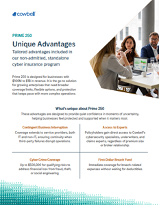 Prime 250 Unique Advantages