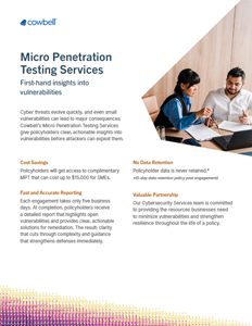 CRS Micro Penetration Testing